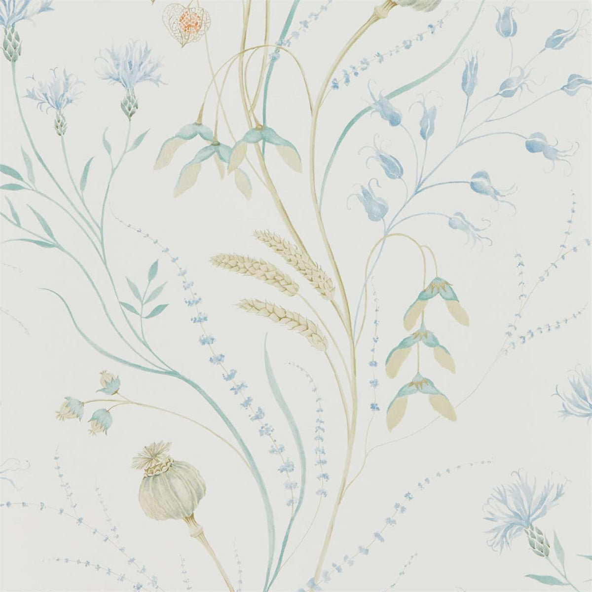 Summer Harvest - Cornflower/Wheat