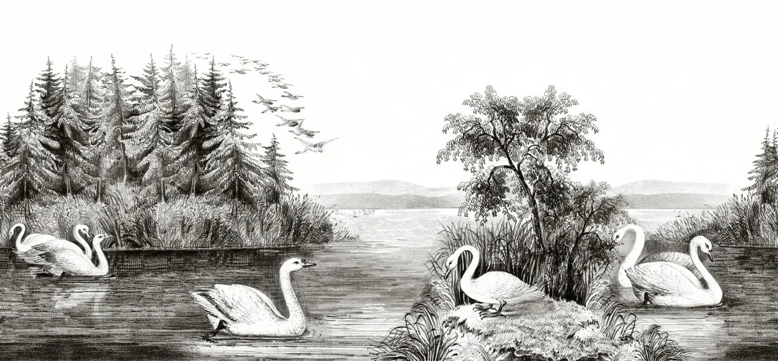 Swan Lake