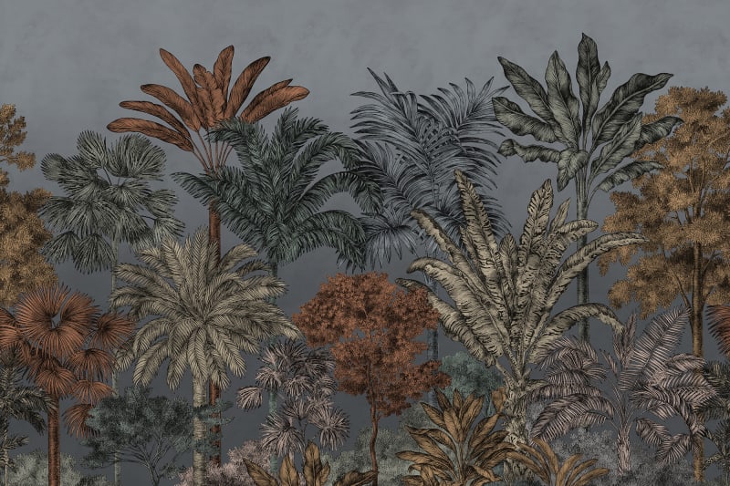 Tropical Bellewood - Night