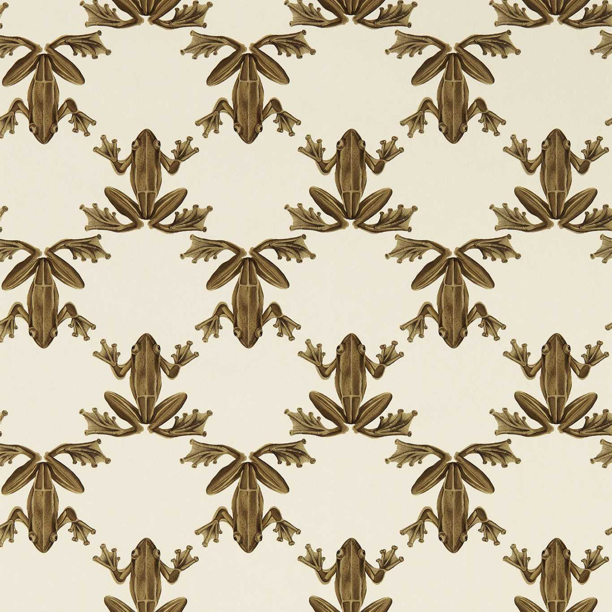 Wood Frog - Gold/Parchment